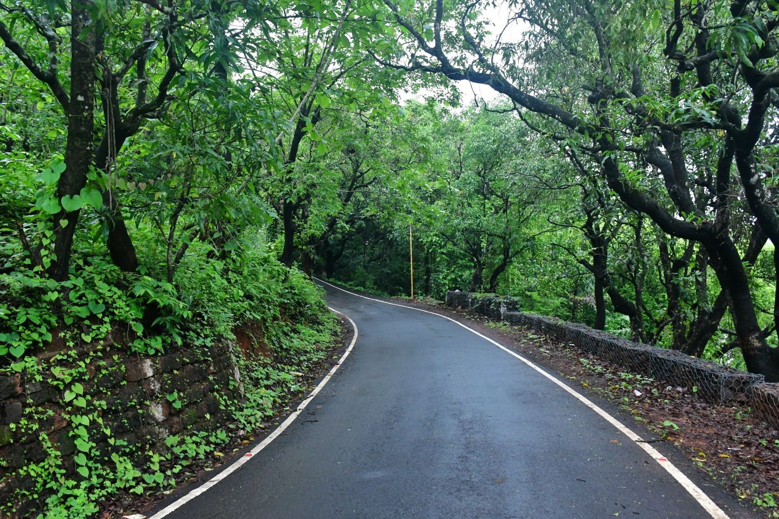 Marathon Route